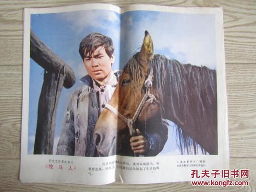 意大利护照扫描件怎么购买